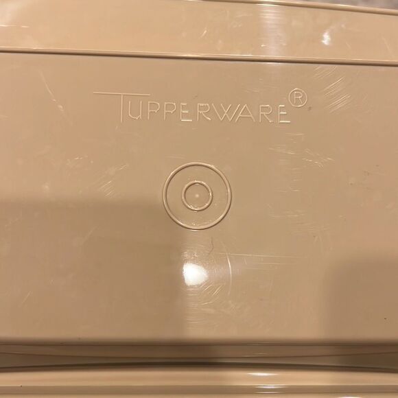 TUPPERWARE Vintage Deviled Egg Keeper Carrier Tray With Lid Almond Tan  723-3 - Picture 4 of 7